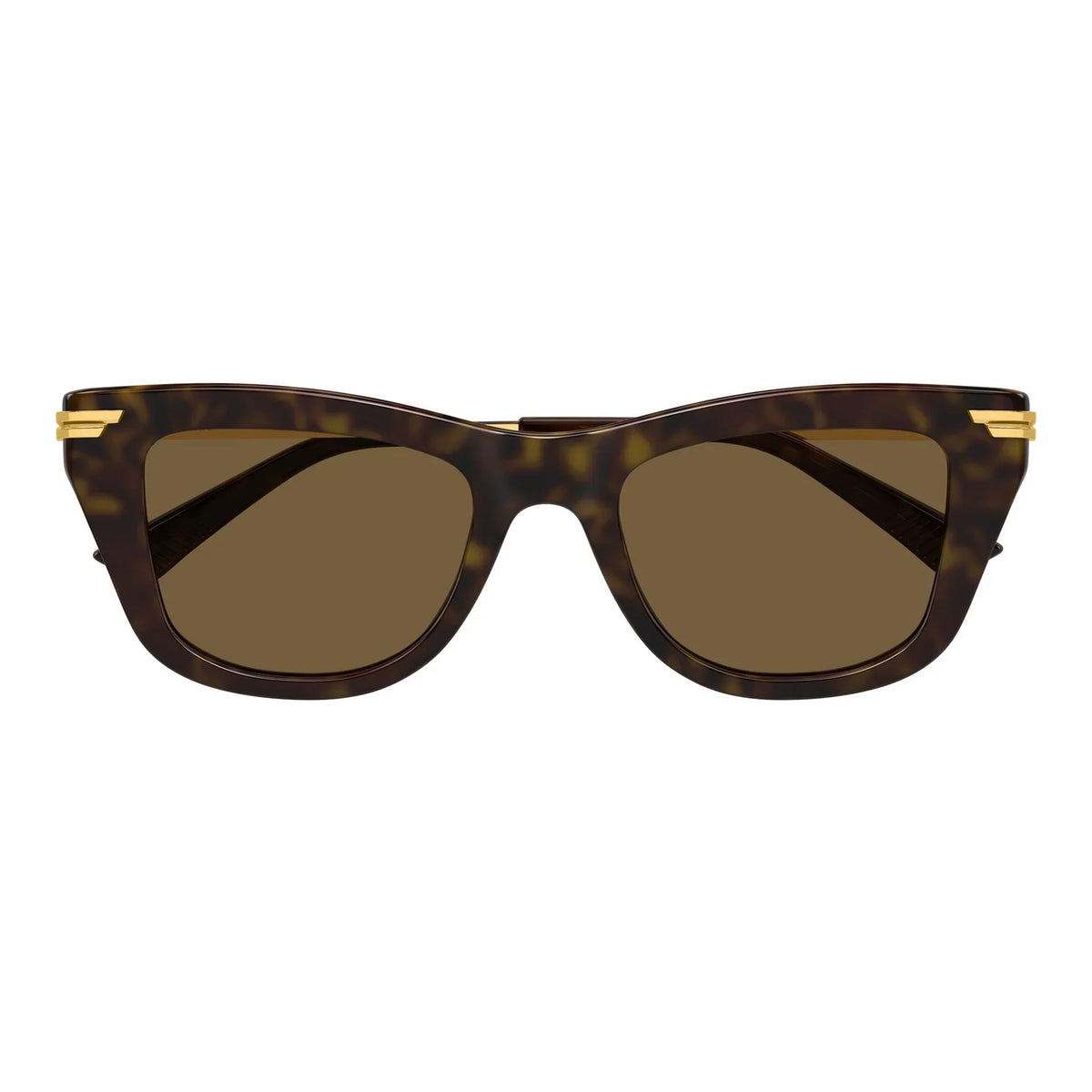 Bottega Veneta | BV1369S | Havana Gold Brown