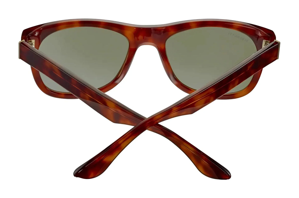 Serengeti_SS550001_Foyt_Large_Shiny_Havana_Green_Photochromic_Polarised_4
