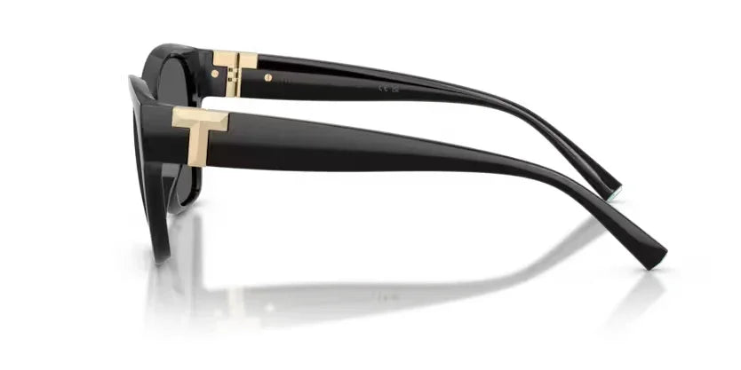 Tiffany & Co. | 4254U | Black