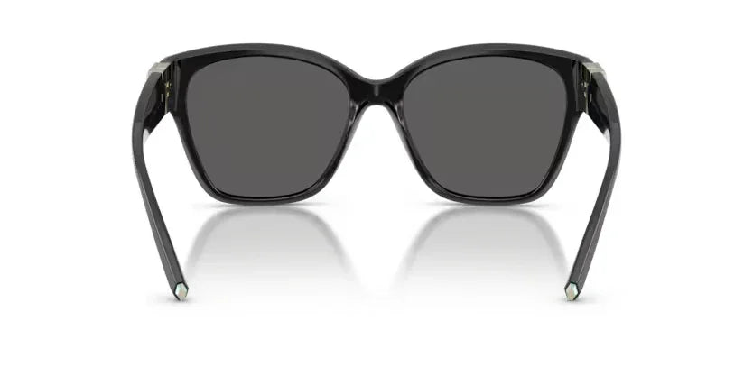Tiffany & Co. | 4254U | Black