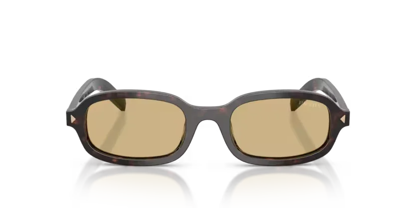 Prada | D06SF | Root Tortoise Light Brown