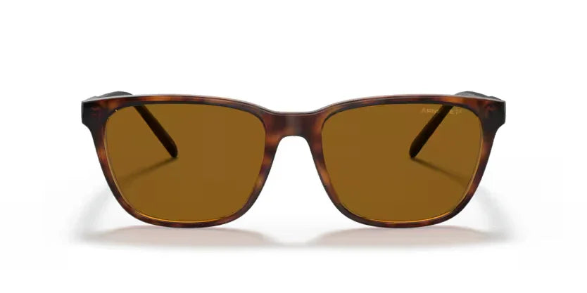 Arnette | AN4291 Cortex | Dark Havana Polarised