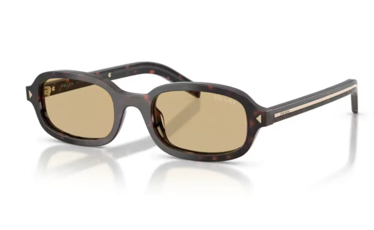 Prada | PRD06S | Root Tort Crystal Light Brown