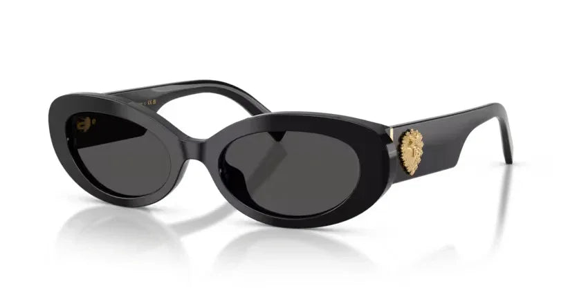 Dolce & Gabbana | 4537 | Black