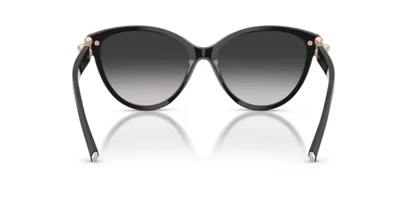 Tiffany & Co. | 4261 | Black Grey