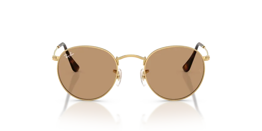 Ray-Ban | Round Metal RB3447 | Arista Brown