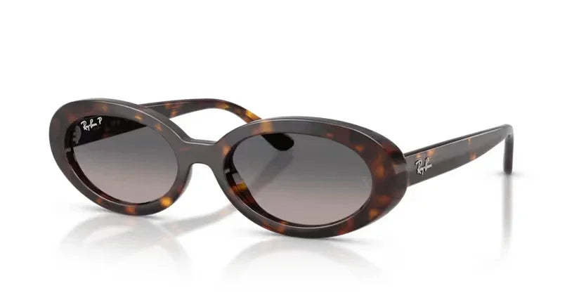 Ray-Ban | RB2223 | Havana Gradient Grey Polarised
