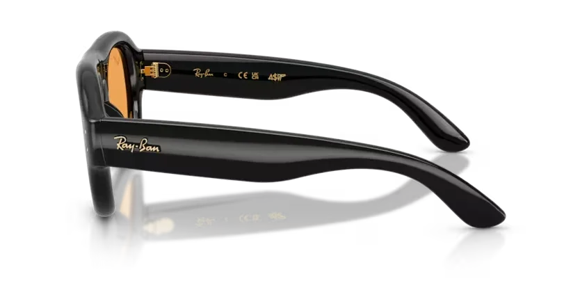 Ray Ban | RB4925 | Black