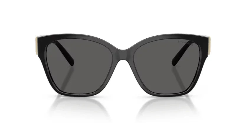Tiffany & Co. | 4254U | Black