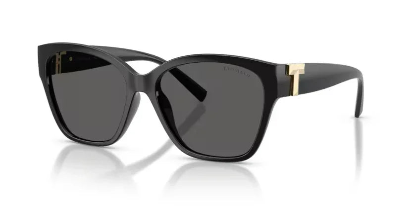 Tiffany & Co. | 4254U | Black