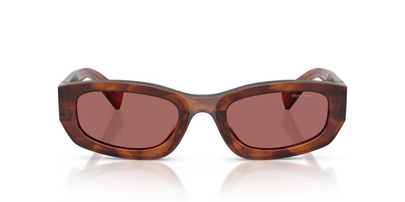 Miu Miu | B04S | Striped Tobacco