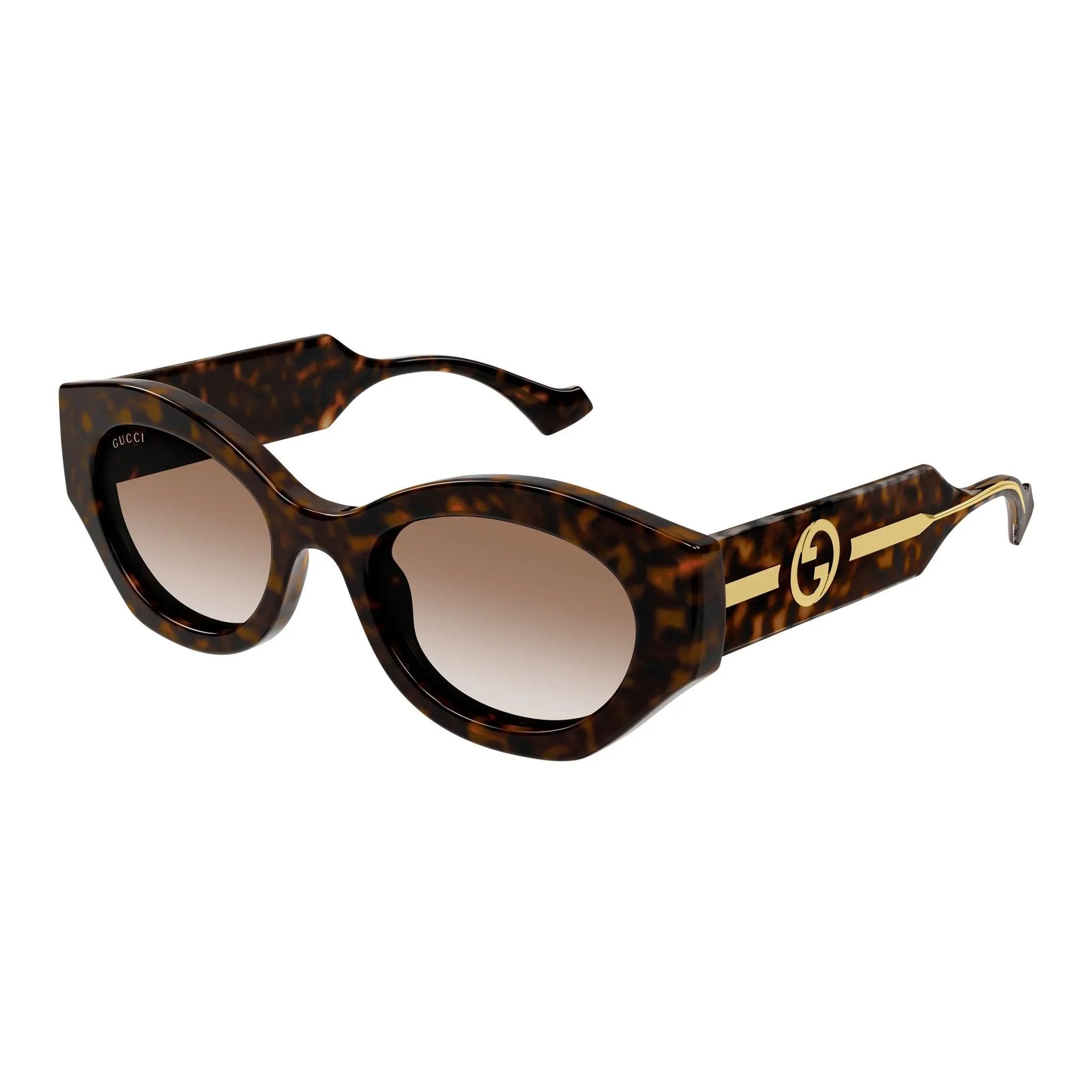 Gucci | 1553S | Havana - iKANDi Sunglasses