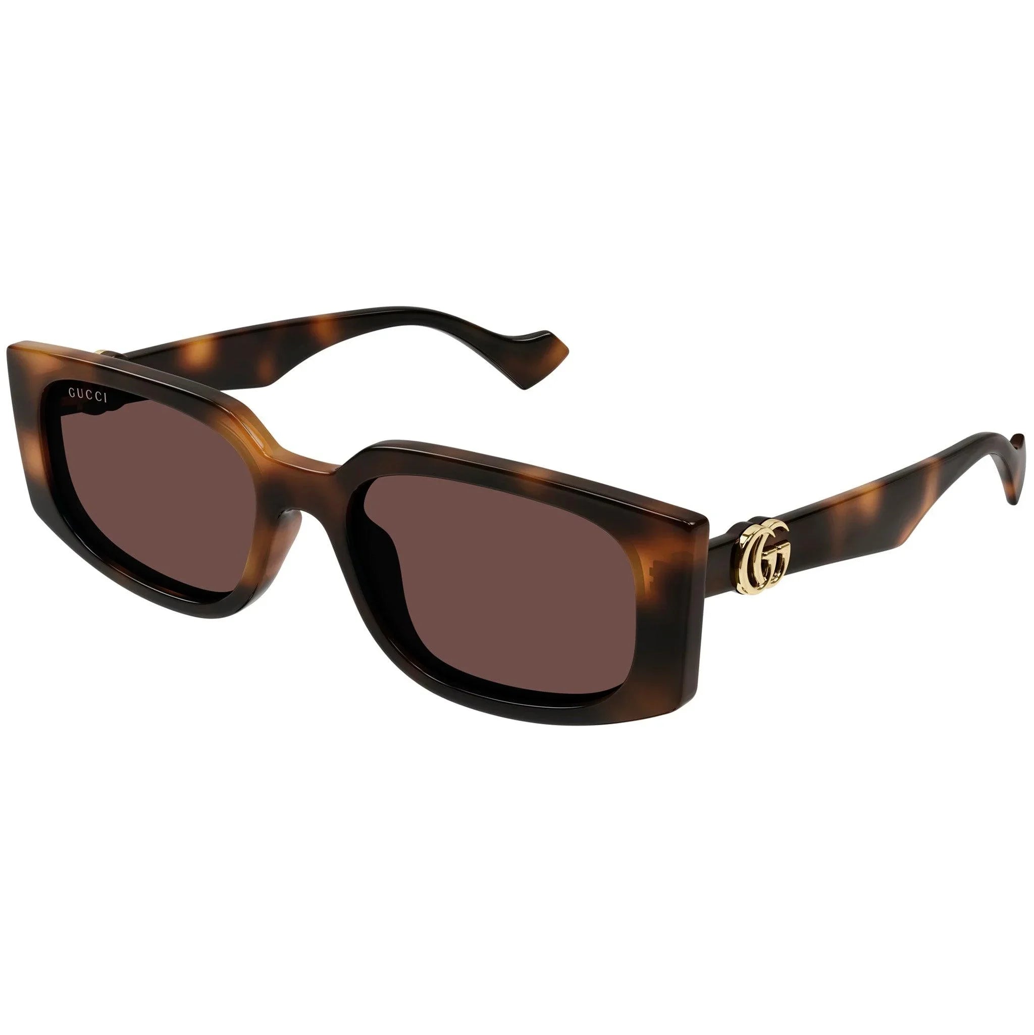 Gucci | 1534S | Havana - iKANDi Sunglasses