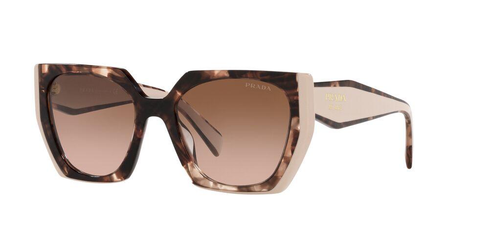 Prada | 15WS | Tortoise Caramel/Powder - iKANDi Sunglasses