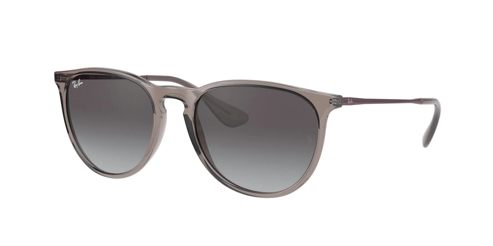 Ray-Ban | 4171 Erika | Transparent Grey - iKANDi Sunglasses