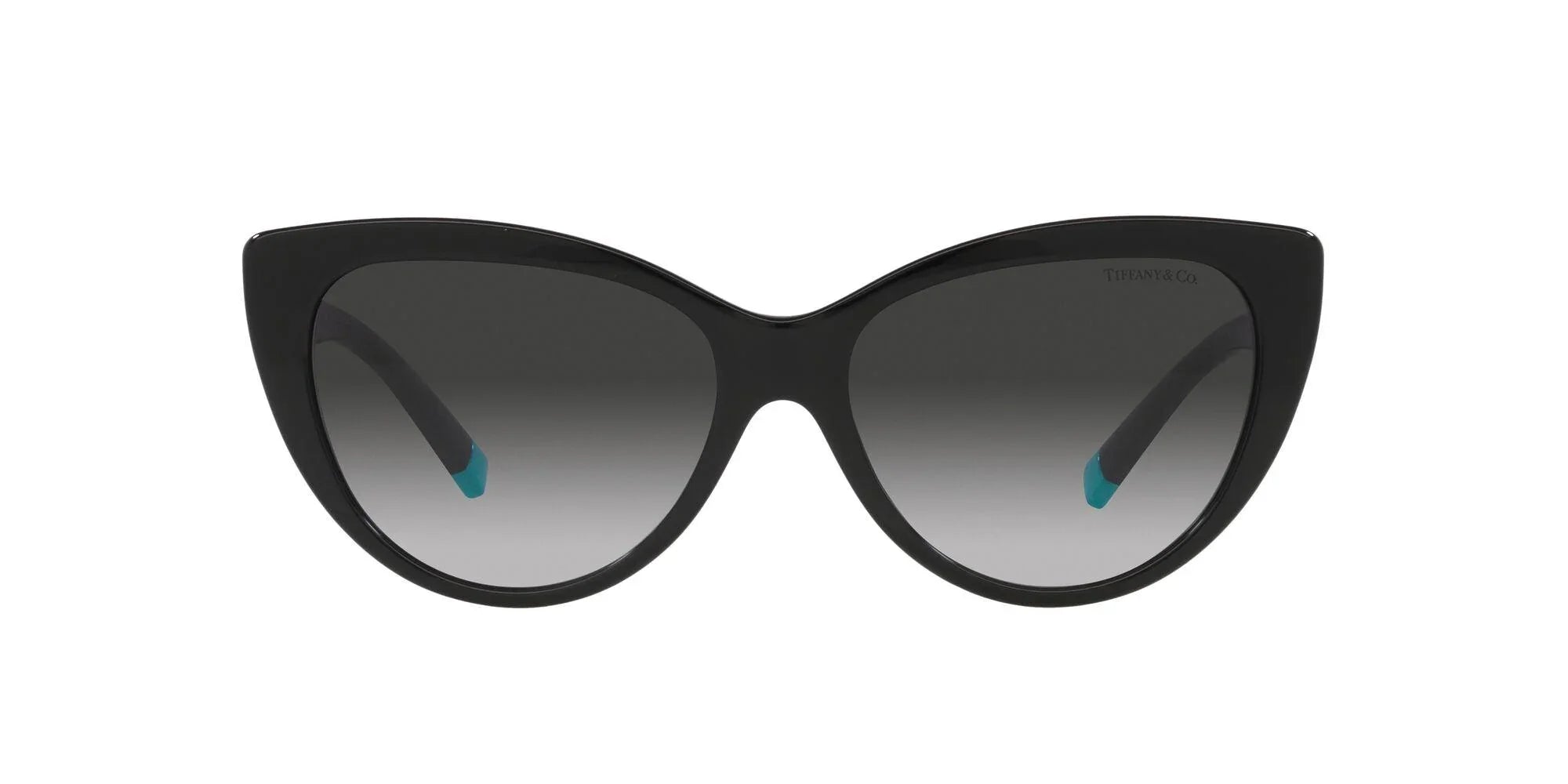 Tiffany & Co. | 4196 | Black - iKANDi Sunglasses