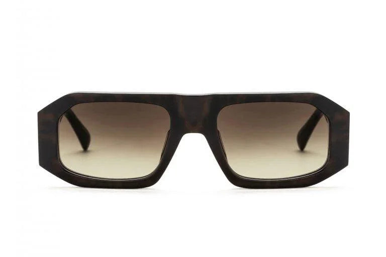 AM Eyewear | Lynch | Brown/Gold - iKANDi Sunglasses