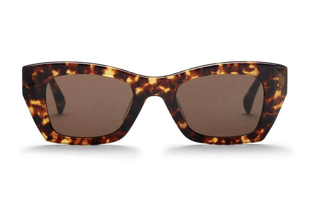 AM Eyewear | Kristiana | Tort - iKANDi Sunglasses