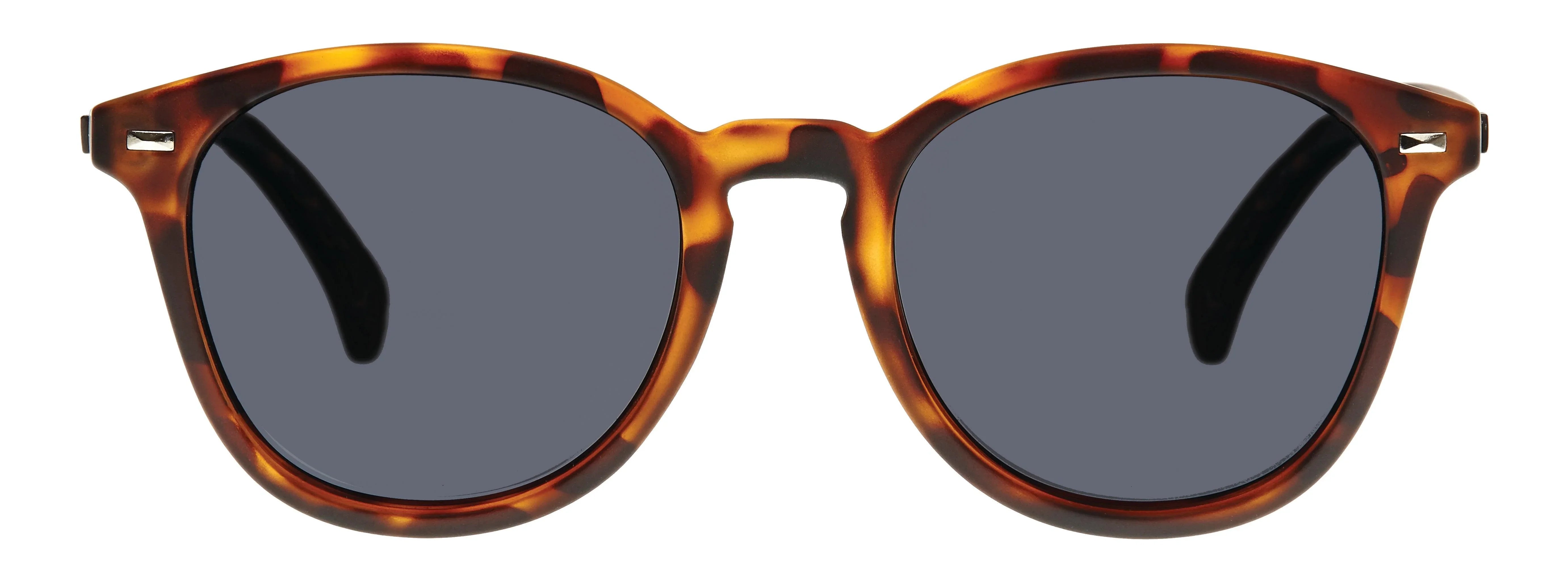 Le Specs | Bandwagon | Matte Tort Polarised - iKANDi Sunglasses