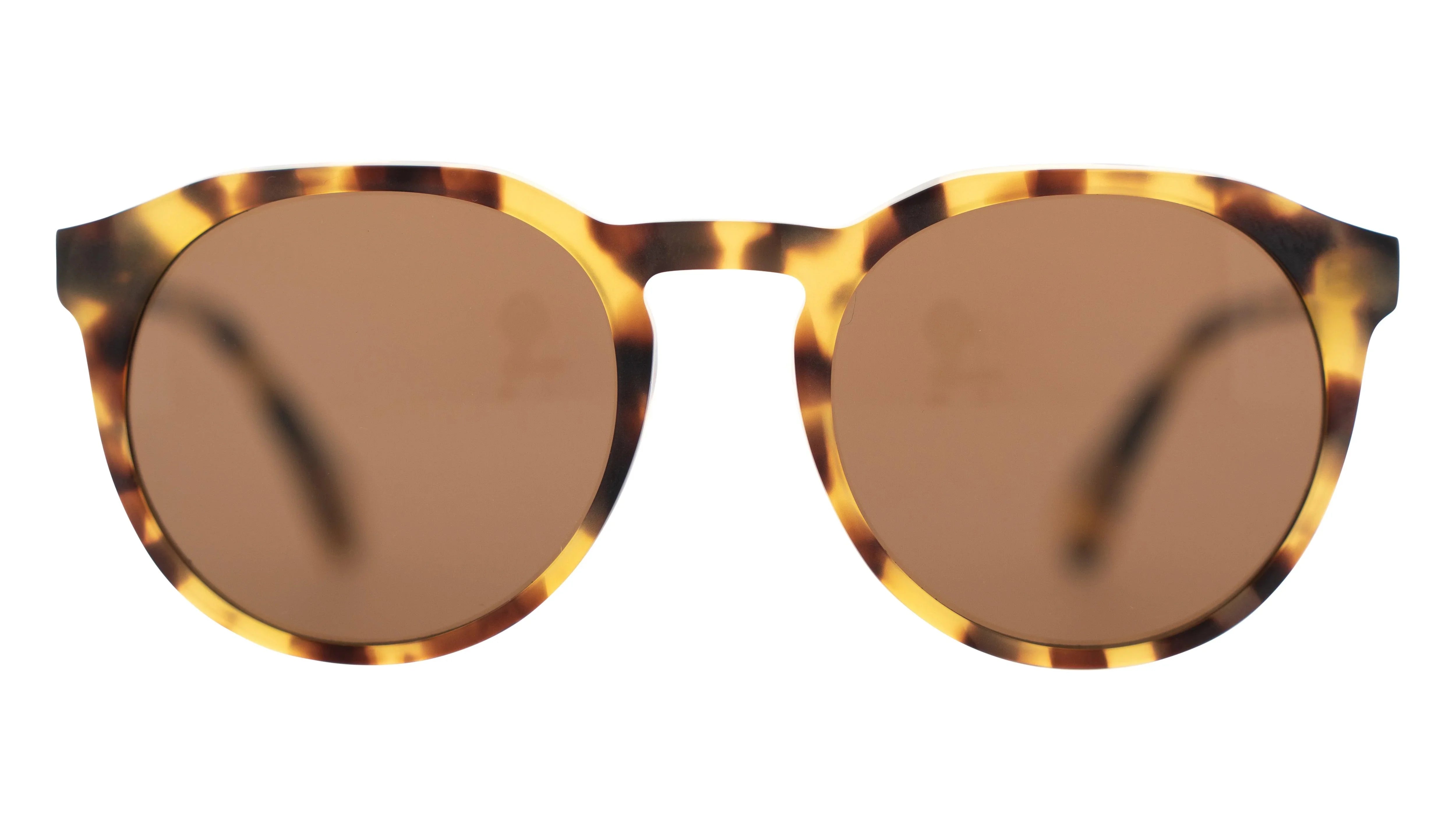 Bask | Sheyd | Matte Havana - iKANDi Sunglasses