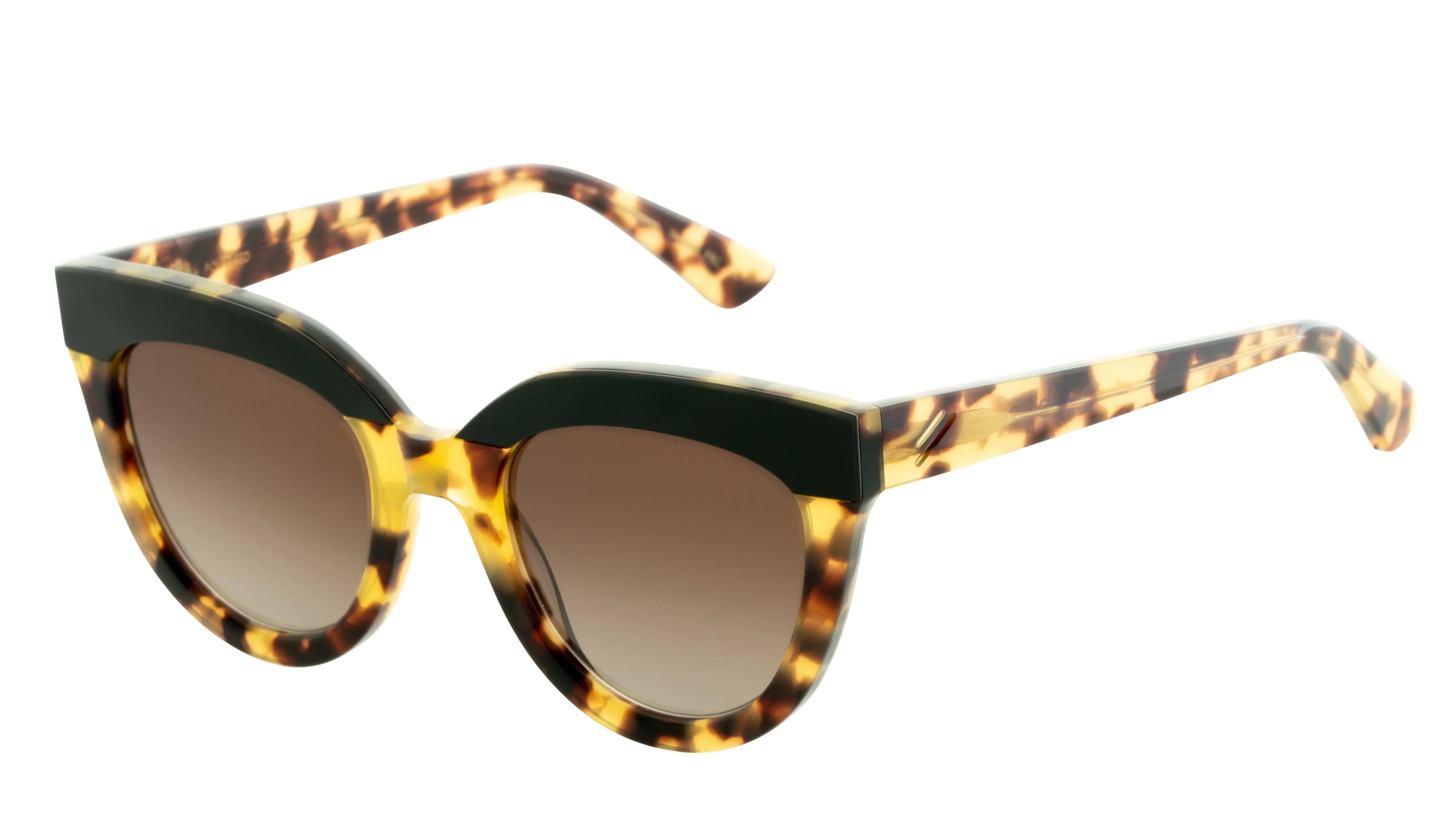 Bask | Echo | Havana Tort - iKANDi Sunglasses