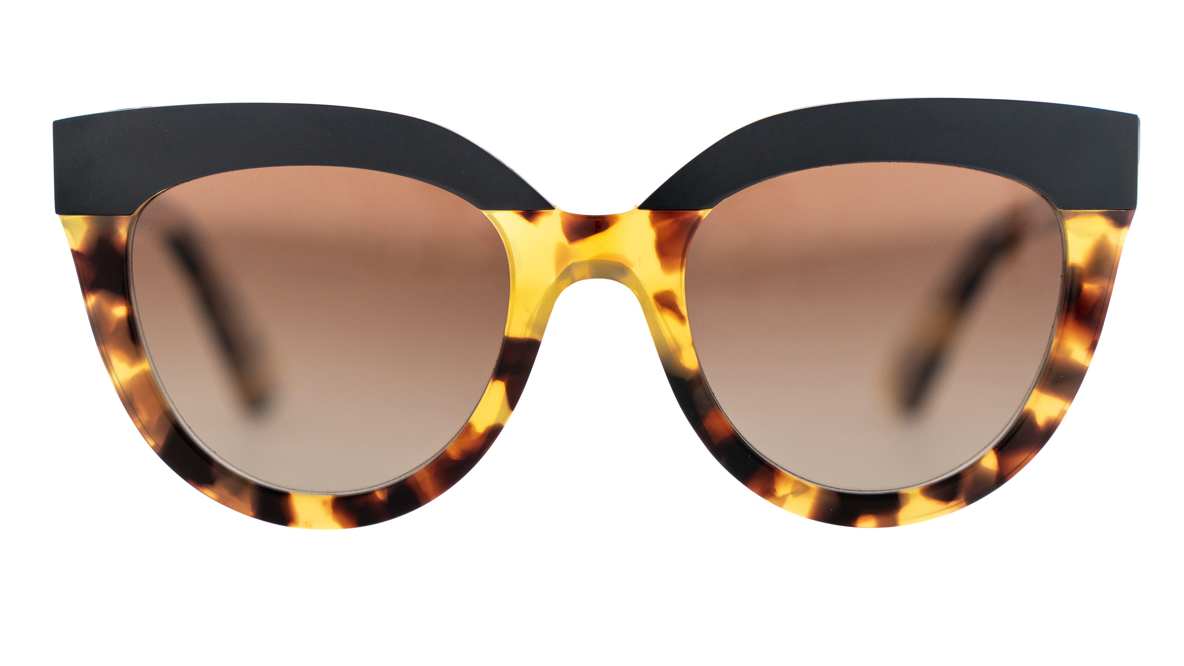 Bask | Echo | Havana Tort - iKANDi Sunglasses