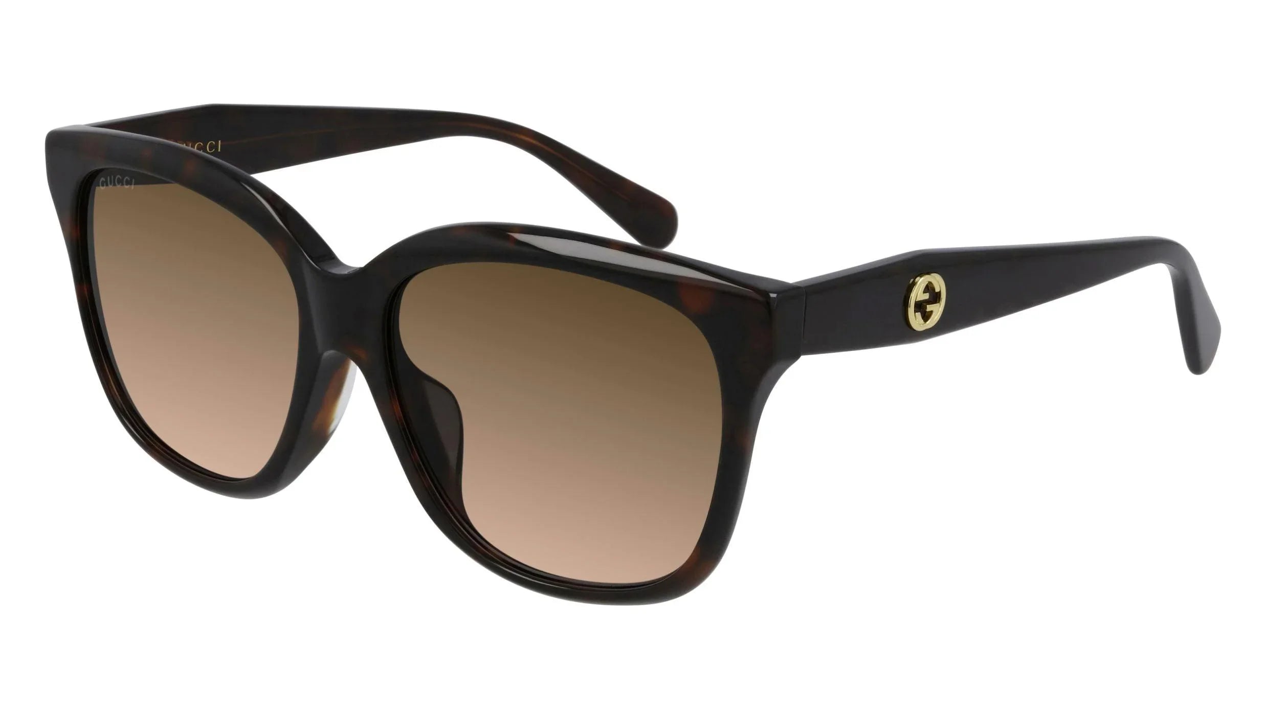 Gucci | 0800SA | Havana - iKANDi Sunglasses