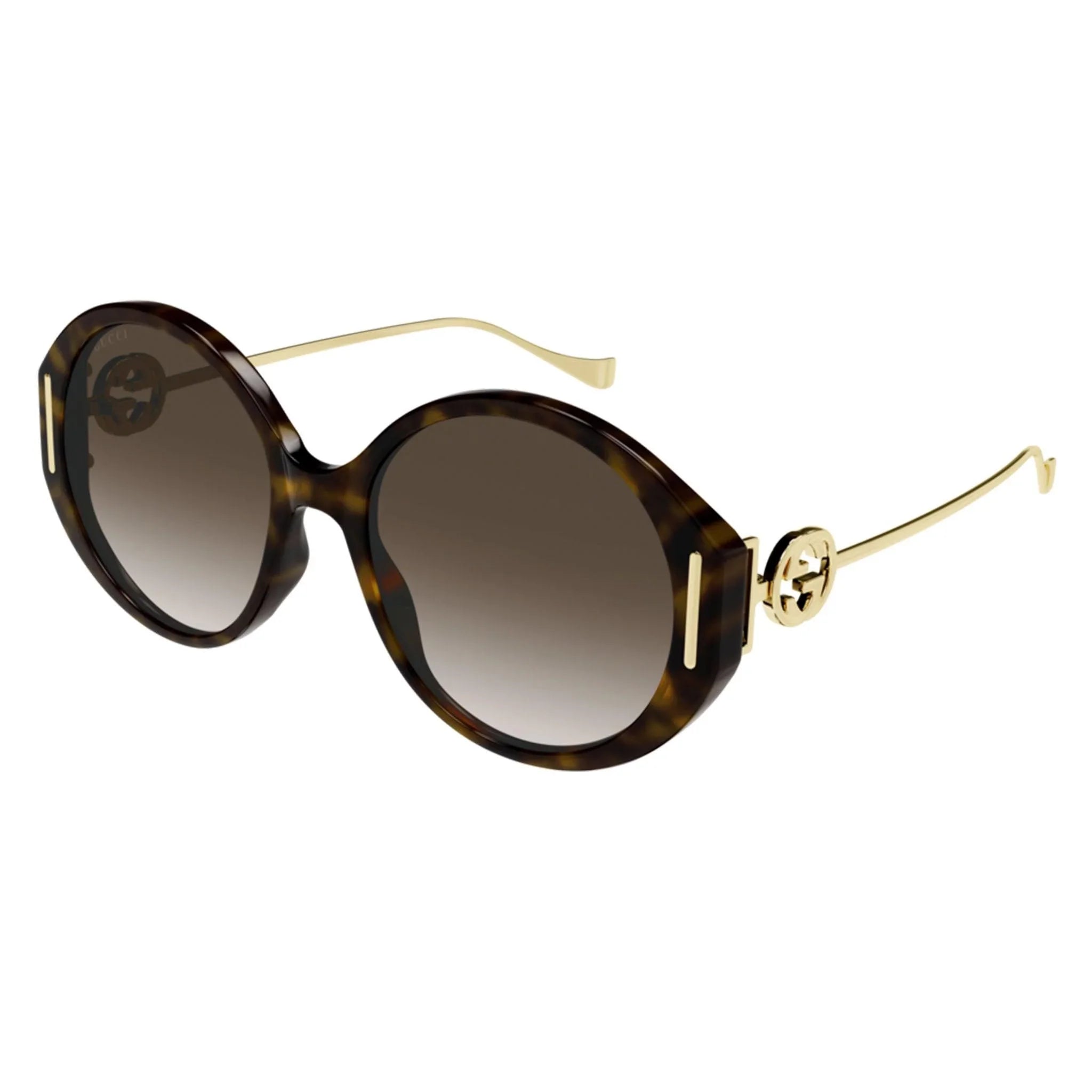 Gucci | 1202SK | Havana - iKANDi Sunglasses