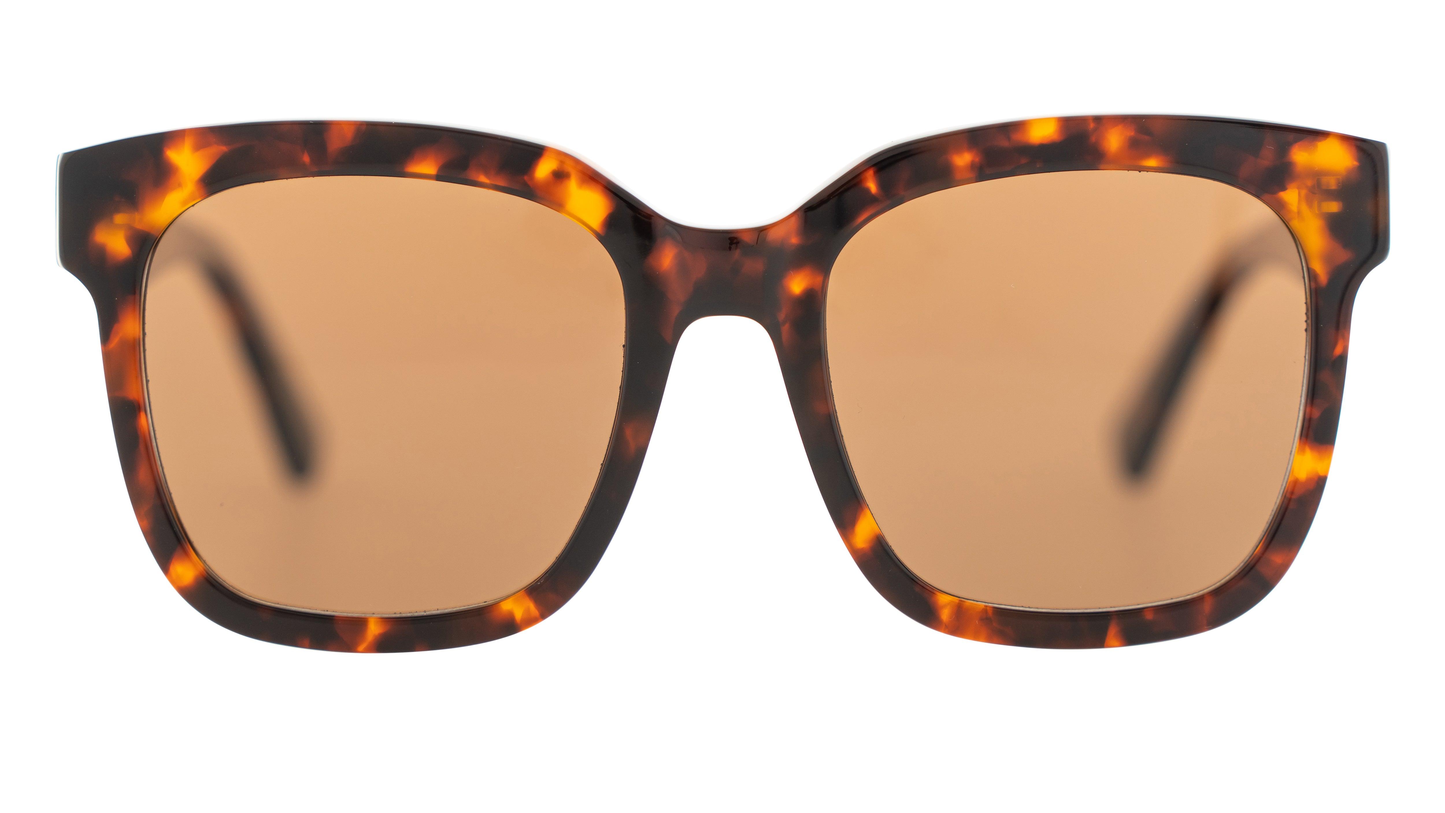 Bask | Laze | Dark Tort - iKANDi Sunglasses