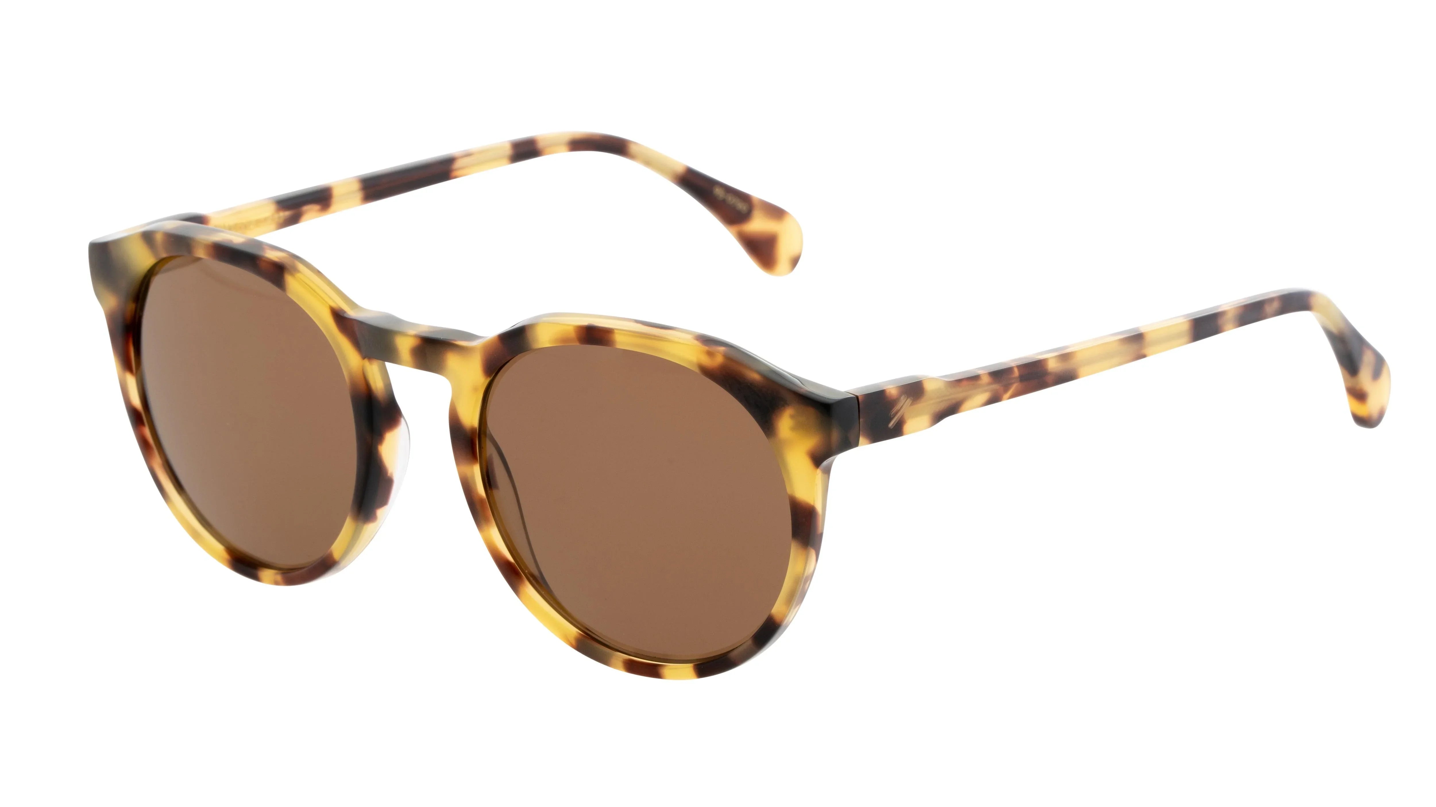 Bask | Sheyd | Matte Havana - iKANDi Sunglasses