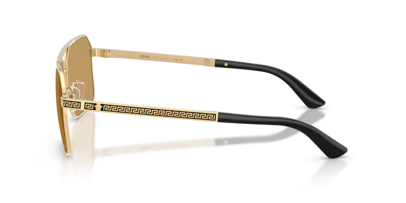 Versace | VE2306 | Gold Versace Brown