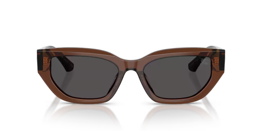 DOLCE & GABBANA | 4463D | Brown