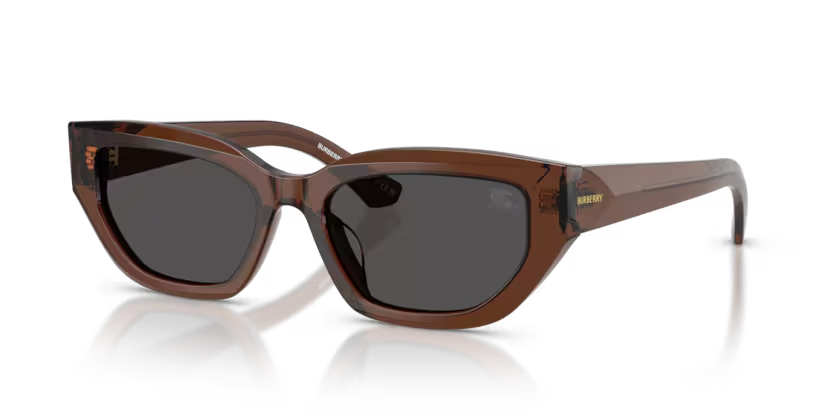 DOLCE & GABBANA | 4463D | Brown