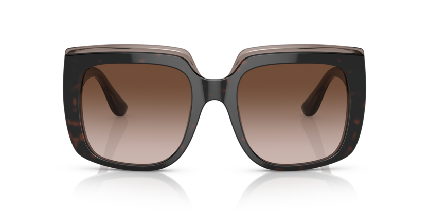 DOLCE & GABBANA | 4414F | Havana on transparent brown