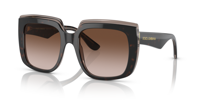 DOLCE & GABBANA | 4414F | Havana on transparent brown