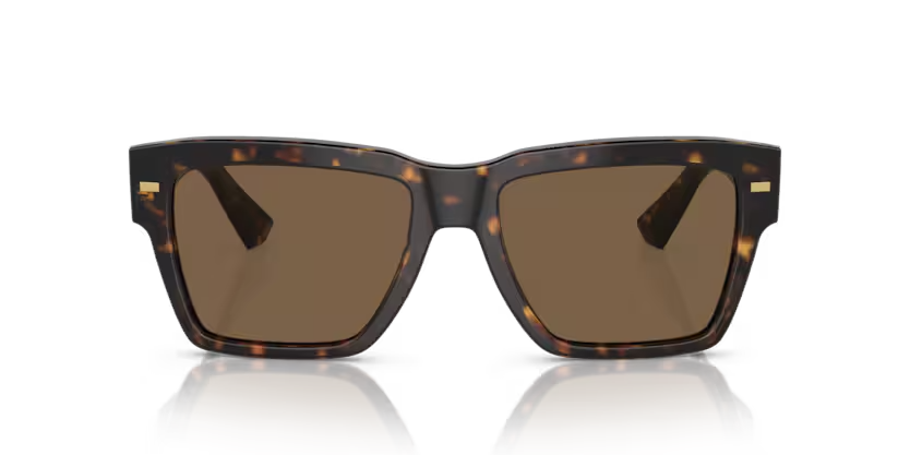 DOLCE & GABBANA | 4431 | Havana
