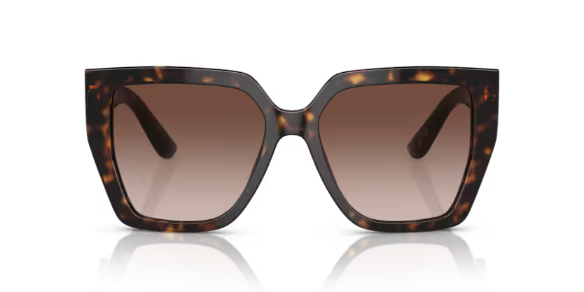 DOLCE & GABBANA | 4438F | Havana