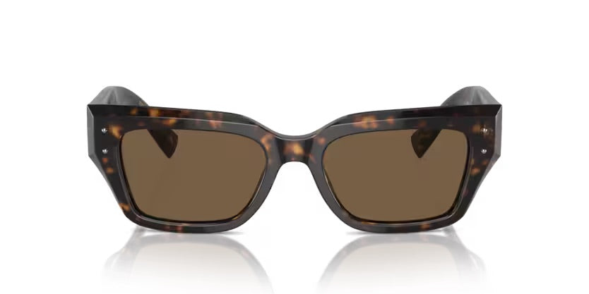 Dolce & Gabbana | 4462  | Havana