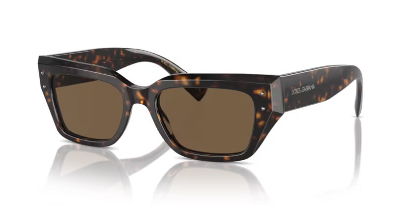 Dolce & Gabbana | 4462  | Havana