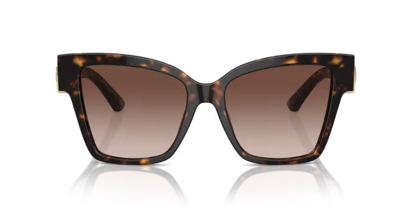 Dolce & Gabbana | 4470F  | Havana