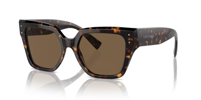 Dolce & Gabbana | 4471  | Havana