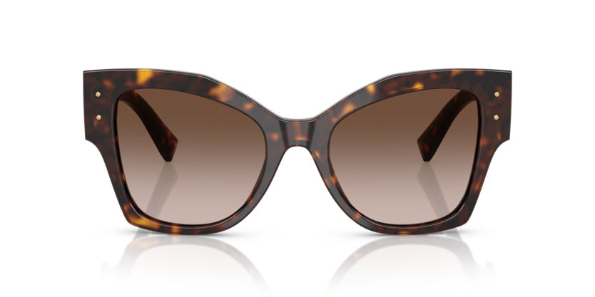 Dolce & Gabbana | 4478F | Havana