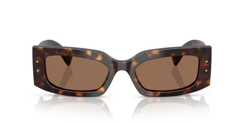 Dolce & Gabbana | 4479  | Havana