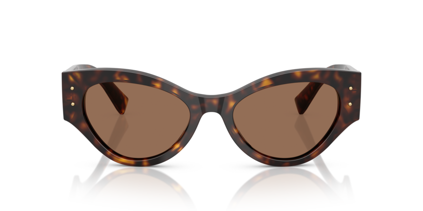 Dolce & Gabbana | 4480F | Havana