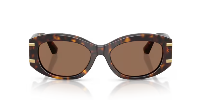 Dolce & Gabbana | 4502 | Havana