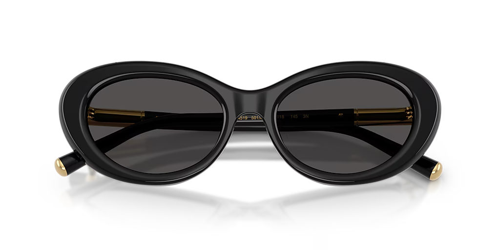 Dolce & Gabbana | DG4519 | Black/Dark Grey