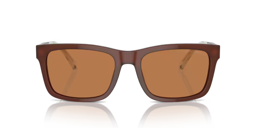 EMPORIO ARMANI | 4224F | Shiny opaline brown