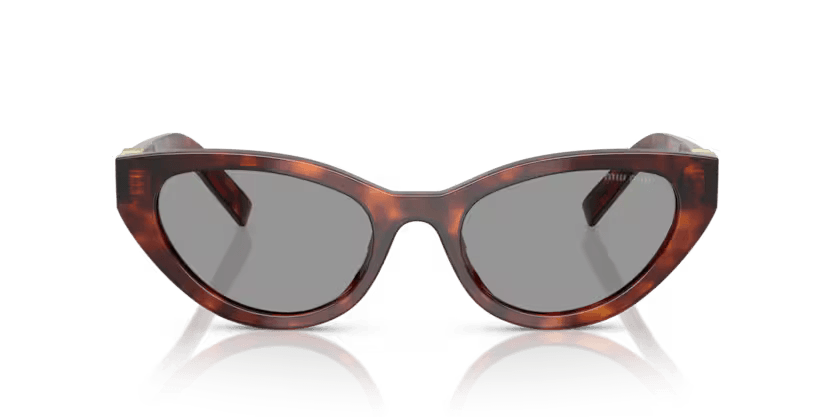 Miu Miu | A04S | Havana mahogany - iKANDi Sunglasses