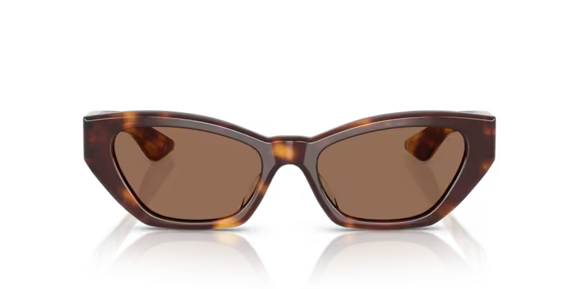 Oliver Peoples | V5582SU 1961c | Dark mahogany