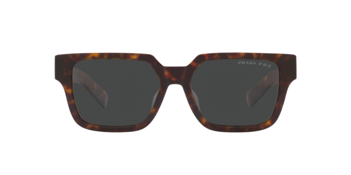 Prada | 03ZS | Havana Polarised